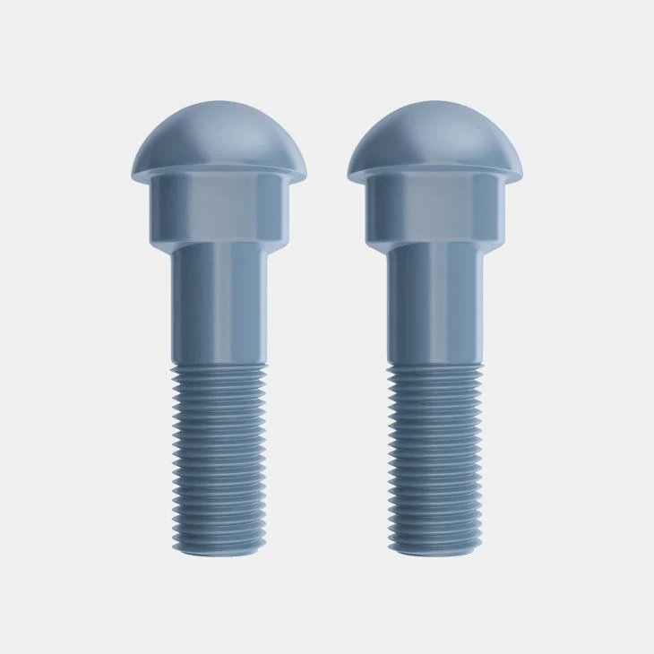 Black Round Head Bolts